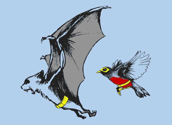 Bat And Robin T-Shirt